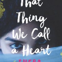 Heartfelt Coming of Age Novel: That Thing We Call a Heart by Sheba Karim
