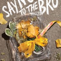 Explores the bizarre & complex social environment of high school: Say No to the Bro by Kat Helgeson