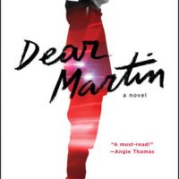 A Letter To Nic Stone: Dear Martin